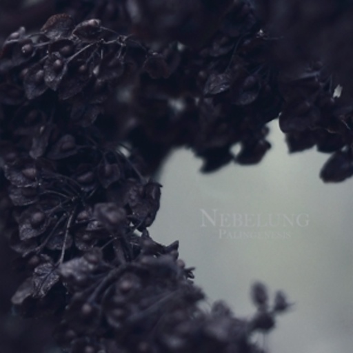 Nebelung – Palingenesis
