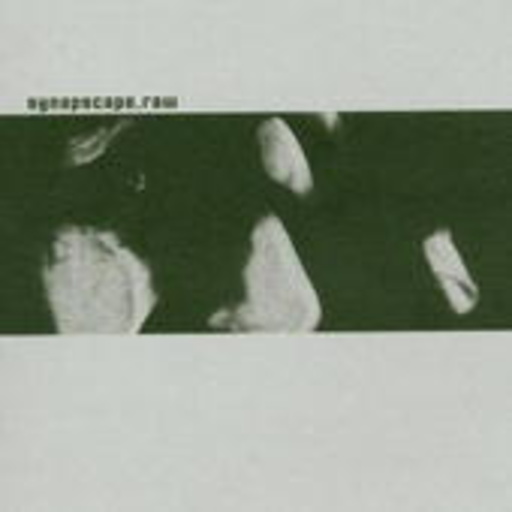 Synapscape – Raw