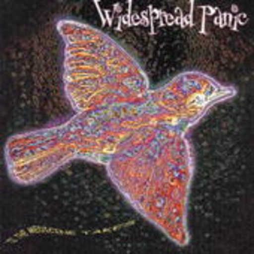 Widespread Panic – ' Til The Medicine Takes