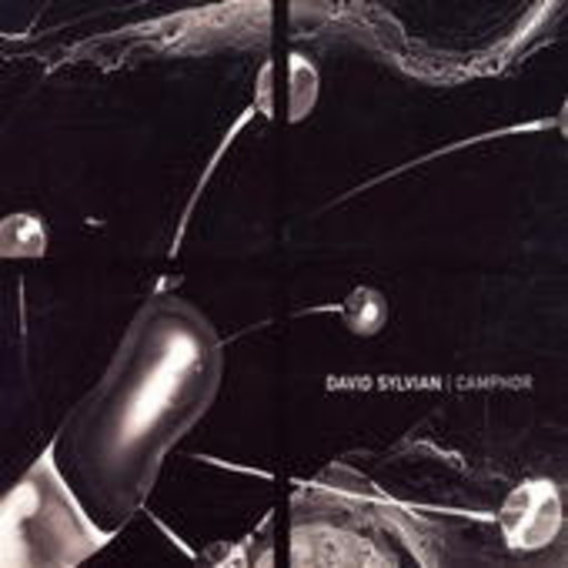 Camphor (Limited Edition)