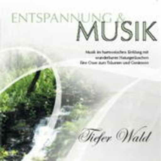 Diverse – Entspannung & Musik: Tiefer Wald