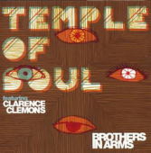 Temple Of Soul – Brothers In Arms