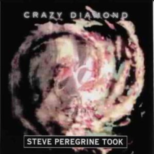 Steve Peregrine Took – Crazy Diamond