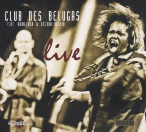Club Des Belugas – Live