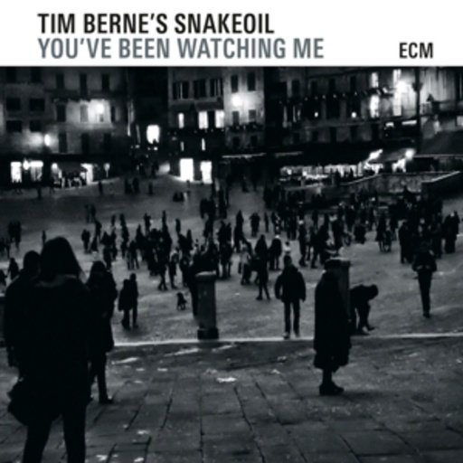 Tim Berne's Snakeoil – You've Been Watching Me