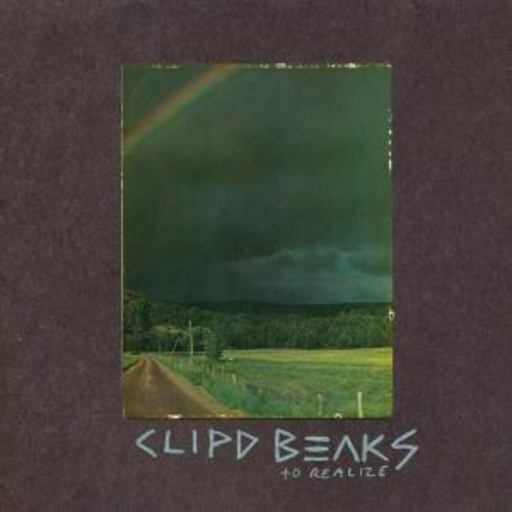 Clipd Beaks – To Realize