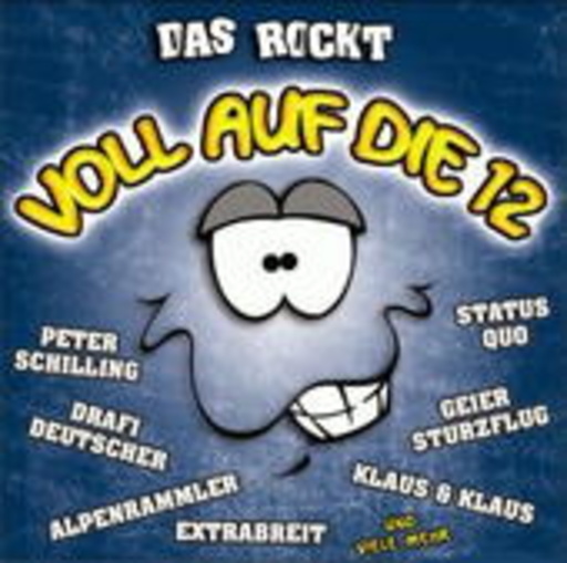 Diverse – Voll auf die 12 - Das rockt