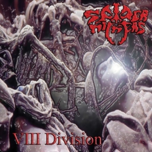 Spider Kickers – VIII Division
