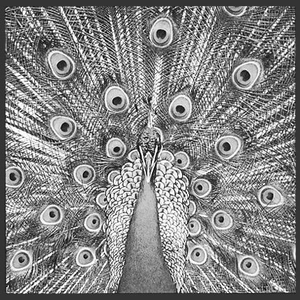 The Bluetones – Expecting To Fly