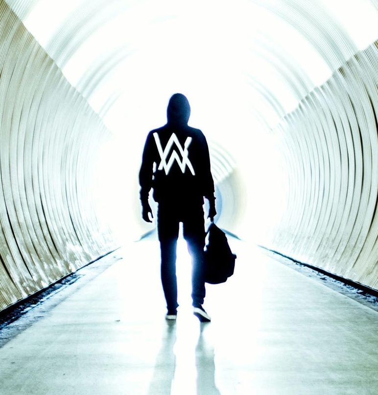 Macht sich mit Gold aus dem Staub: Alan Walker