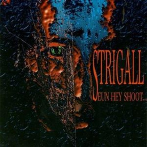 Strigall – Seun Hey Shoot