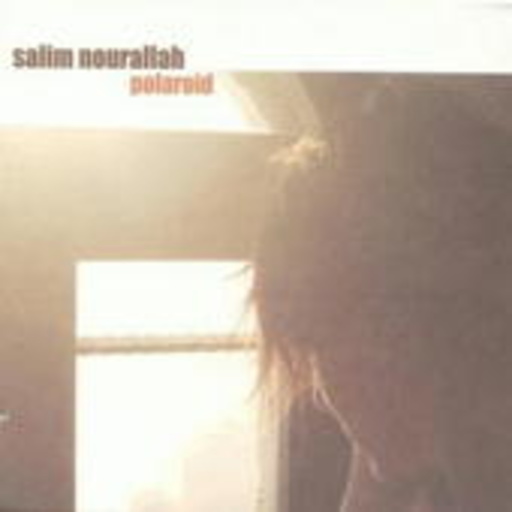 Salim Nourallah – Polaroid