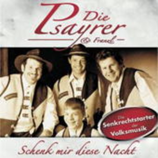 Die Psayrer – Schenk mir diese Nacht