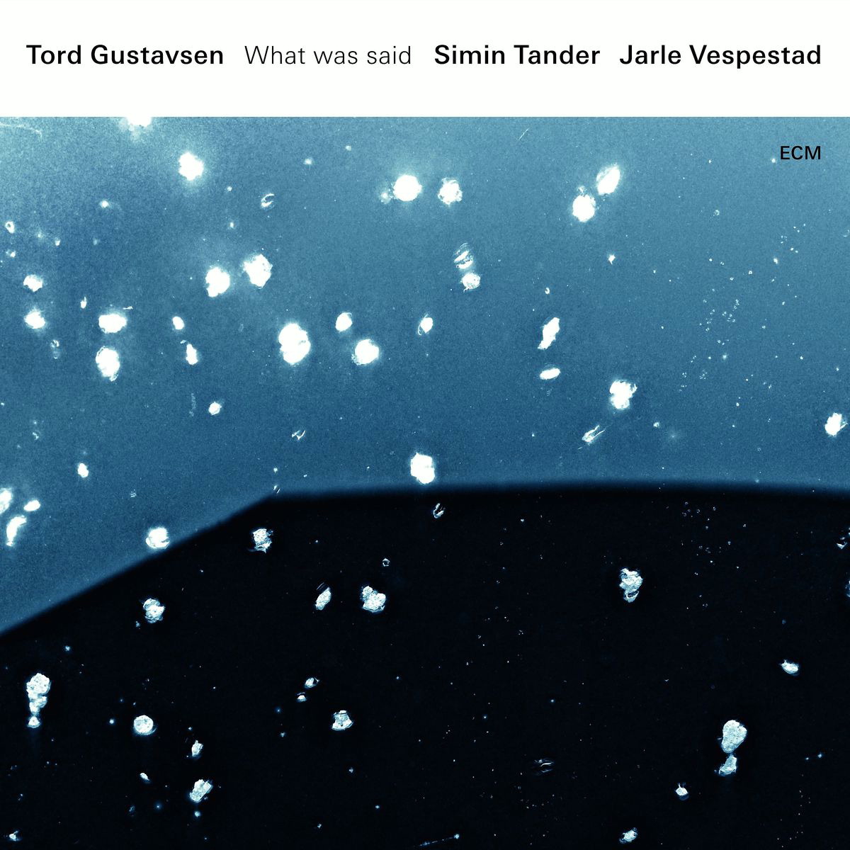 Tord Gustavsen/Simin Tander/Jarle Vespestad – What Was Said