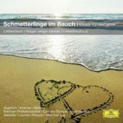 Diverse – Schmetterlinge im Bauch - Musik für Verliebte