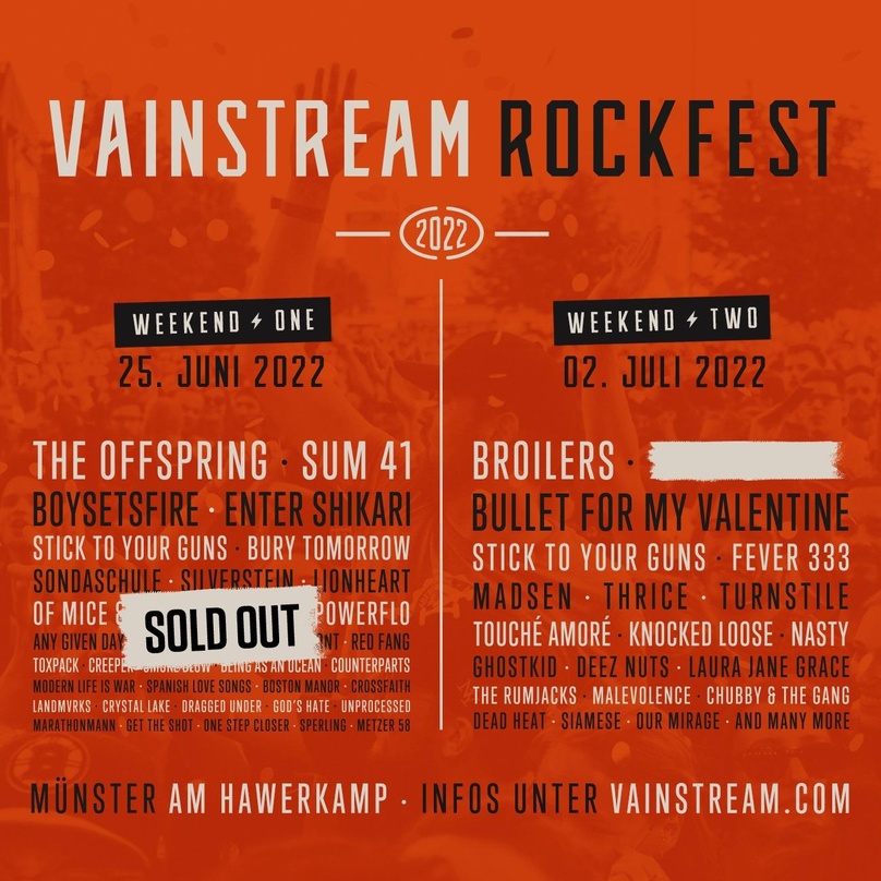 ba8a4706ca8d573d530a2bf0d71cd45ab25f281f65f9abe5387726c5add04951 Wächst 2022: das Vainstream Festival von Kingstar