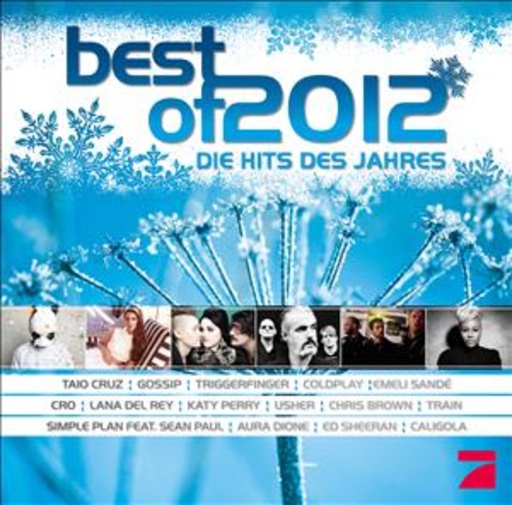 Diverse – Best Of 2012 - Die Hits des Jahres