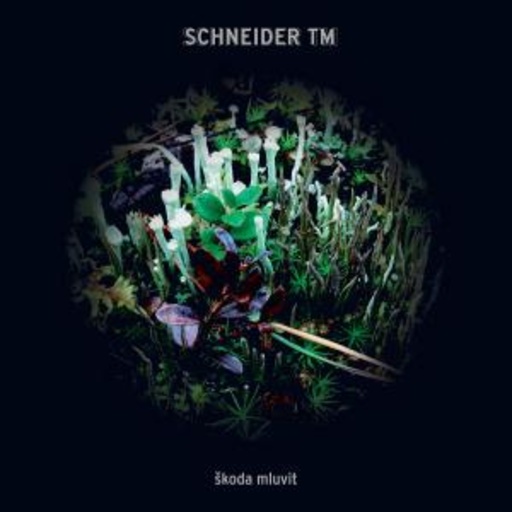 Schneider TM – Skoda Mluvit