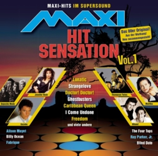Diverse – Maxi Hit Sensation Vol. 1