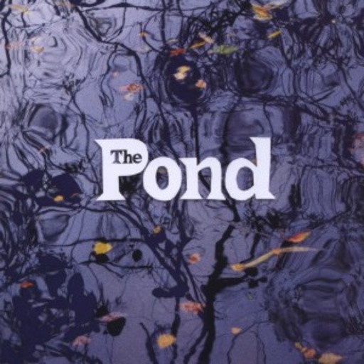 The Pond – The Pond