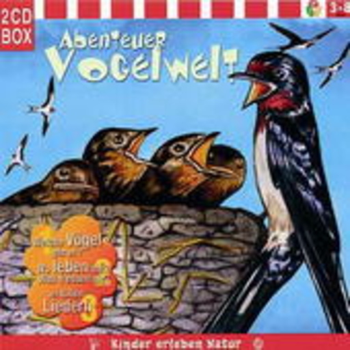 Abenteuer Vogelwelt
