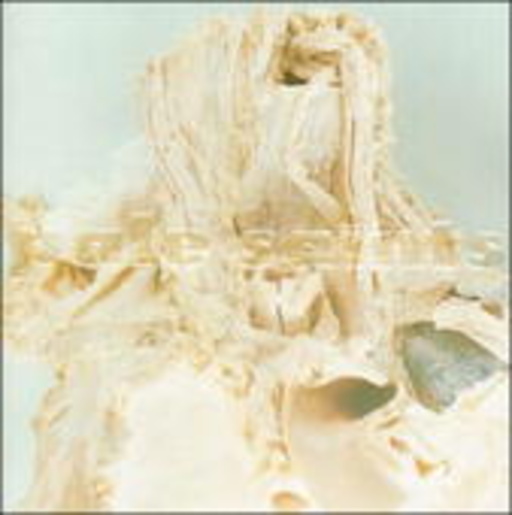 Pale Saints – In Ribbons