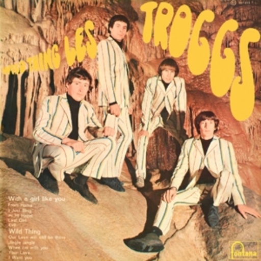 Troggs – Wild Thing