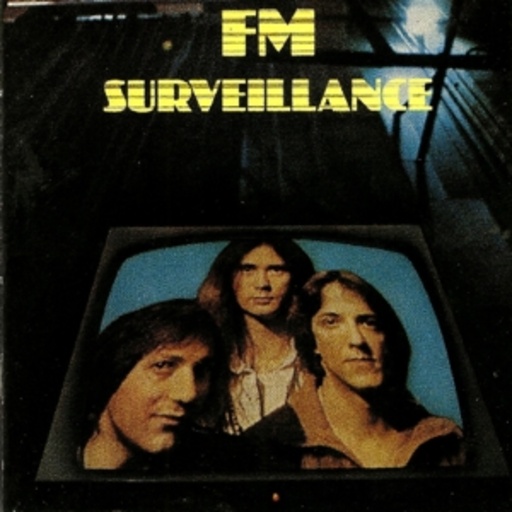 FM – Surveillance