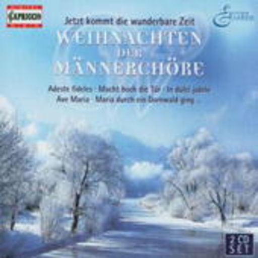 Diverse – Weihnachts Christmas Boulevard