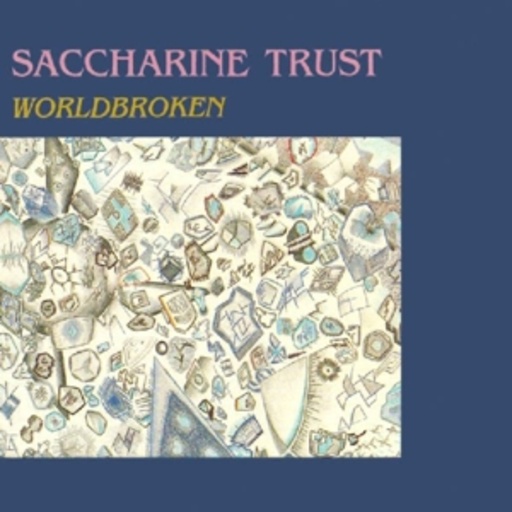 Saccharine Trust – Worldbroken