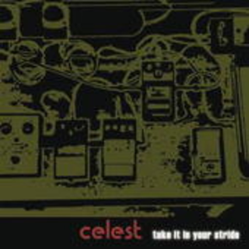 Celest – Take It In Your Stride