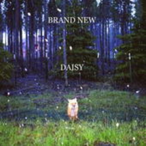 Brand New – Daisy
