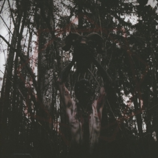 This Gift Is A Curse – I, Guilt Bearer