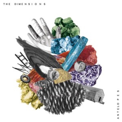 The Dimensions – Antelope