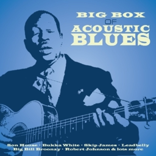 Diverse – Big Box Of Acoustic Blues