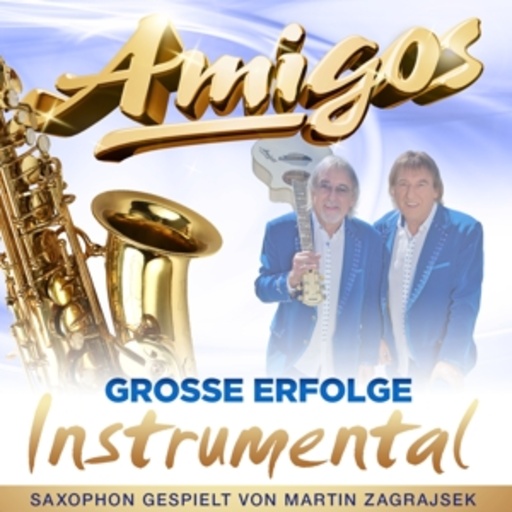 Diverse – Amigos - Große Erfolge - Instrumental