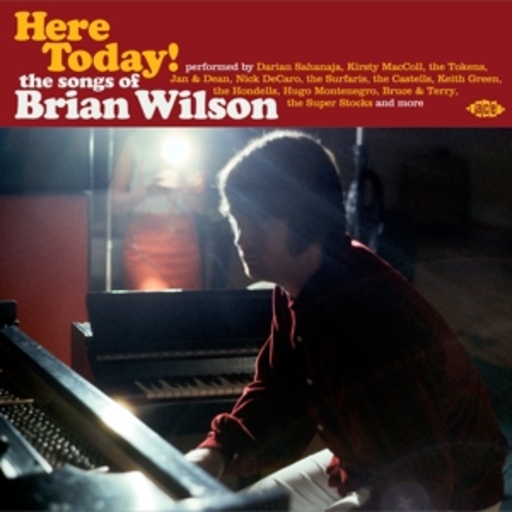 Diverse – Here Today! - The Songs Of Brian Wilson