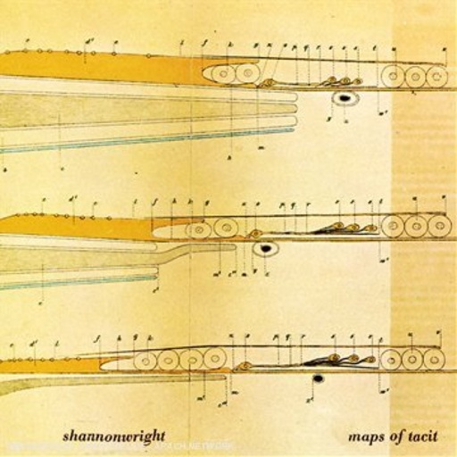 Shannon Wright – Maps Of Tacit
