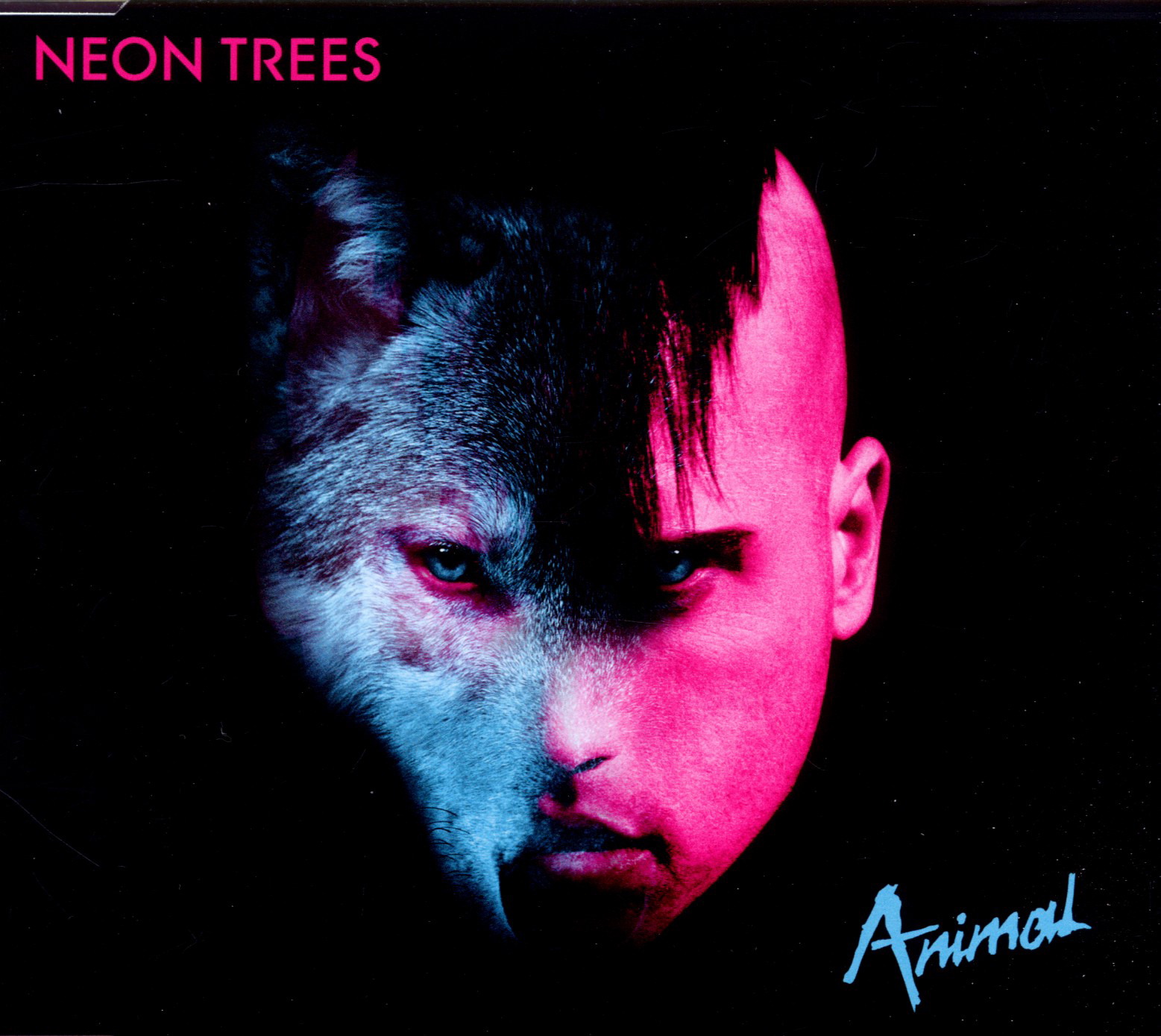 Neon Trees – Animal