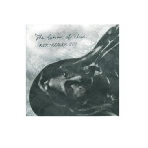 Rentrer En Soi – The Bottom Of Chaos