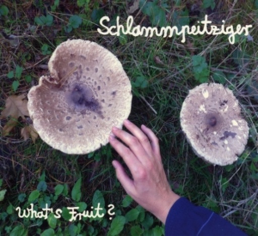 Schlammpeitziger – What's Fruit