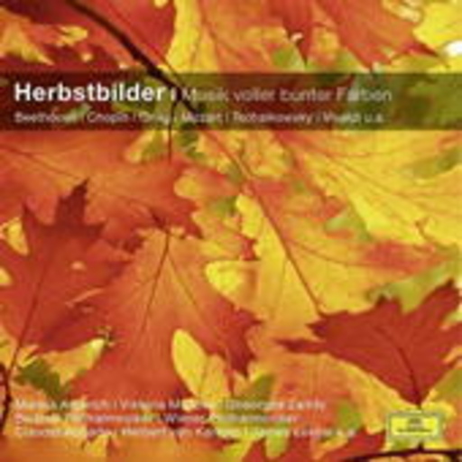 Diverse – Herbstbilder - Musik voller bunter Farben