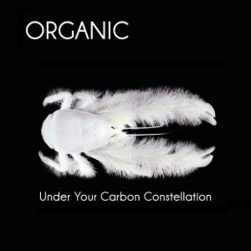 Organic – Under Your Carbon Constellation