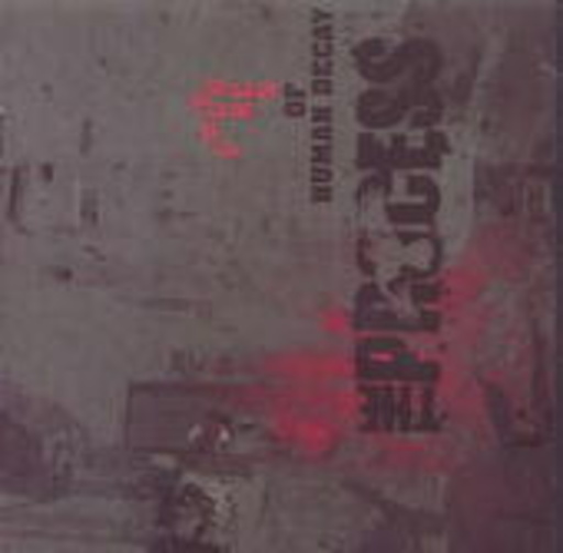 The Process – Vultures Of Human Decay