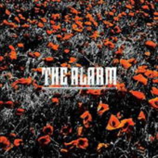In The Poppyfields