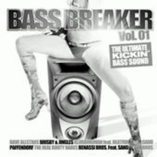 Diverse – Bass Breaker Vol. 1