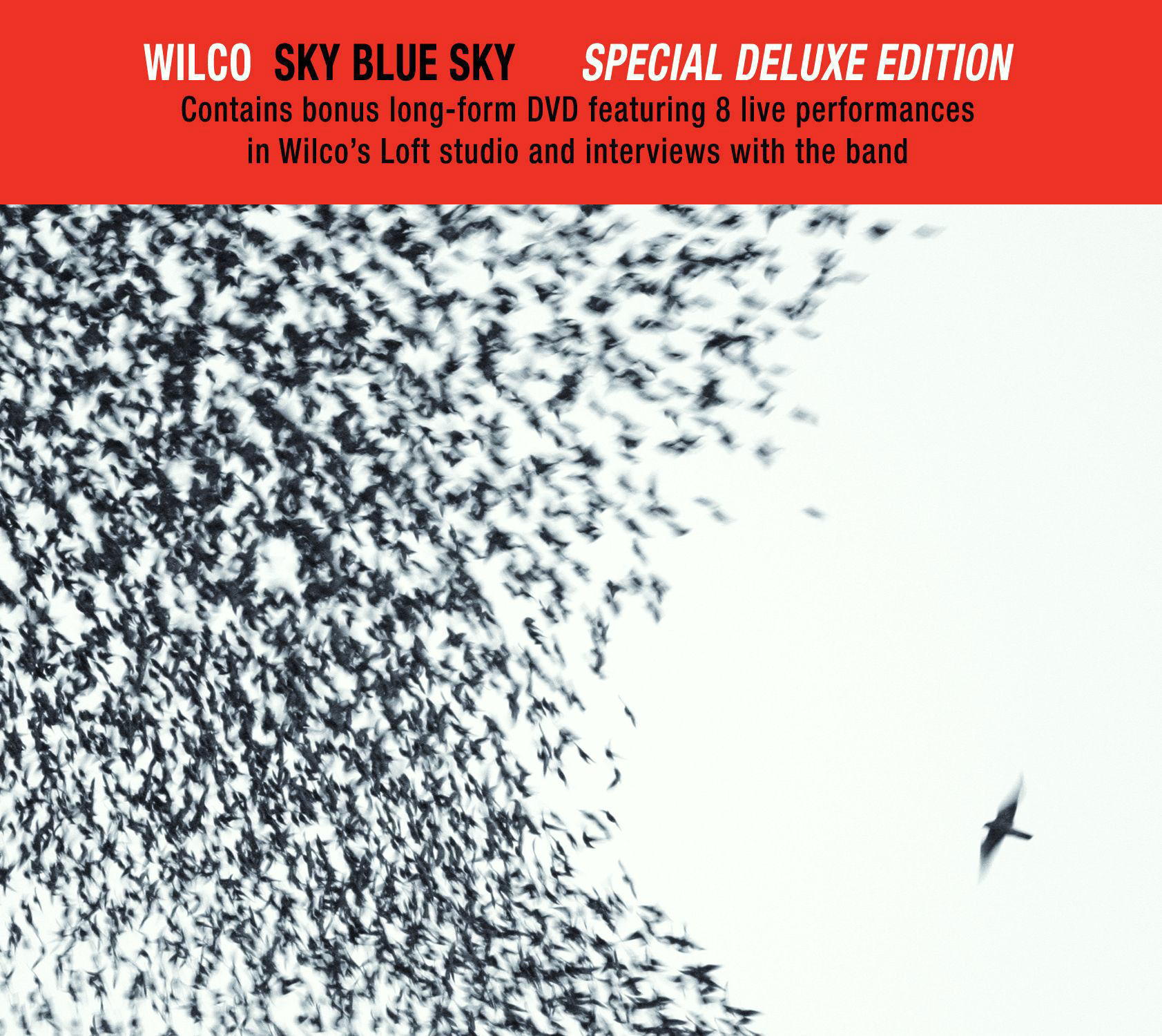 Wilco – Sky Blue Sky
