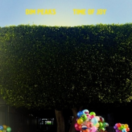 Dim Peaks – Time Of Joy