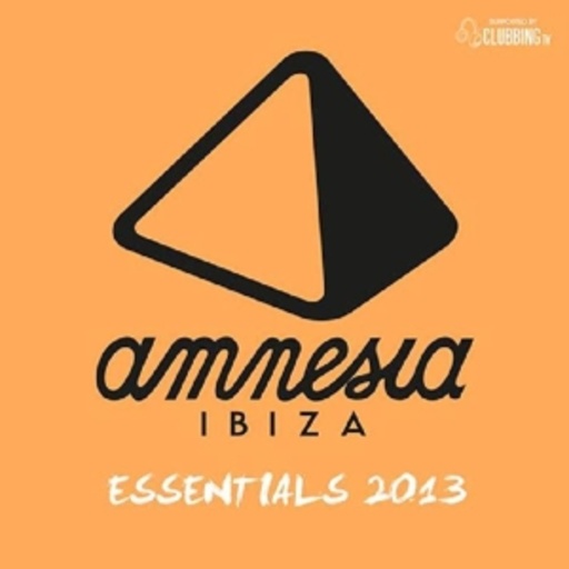 Amnesia Ibiza Essentials 2013