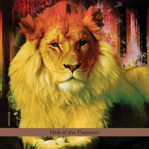 David Solid Gould vs. Bill Laswell – Dub Of The Passover